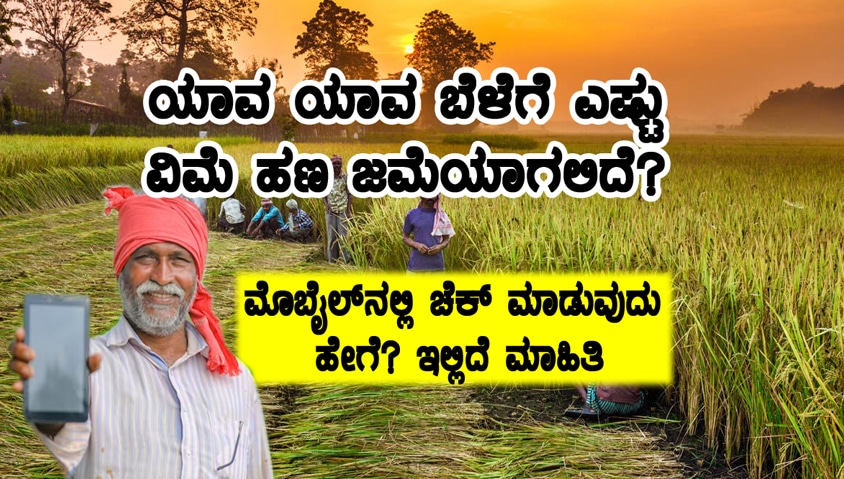 Crop Insurance Calculate: ಯಾವ ಬೆಳೆಗೆ ಎಷ್ಟು ವಿಮೆ ಜಮೆ 2024 ಇಲ್ಲೇ ಚೆಕ್ ಮಾಡಿ