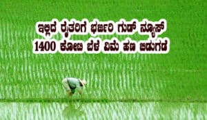 1400 crore crop insurance released