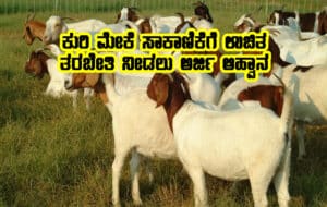 10 days goat farming training