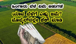 Rabi crop insurance