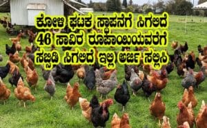 Poultry unit subsidy