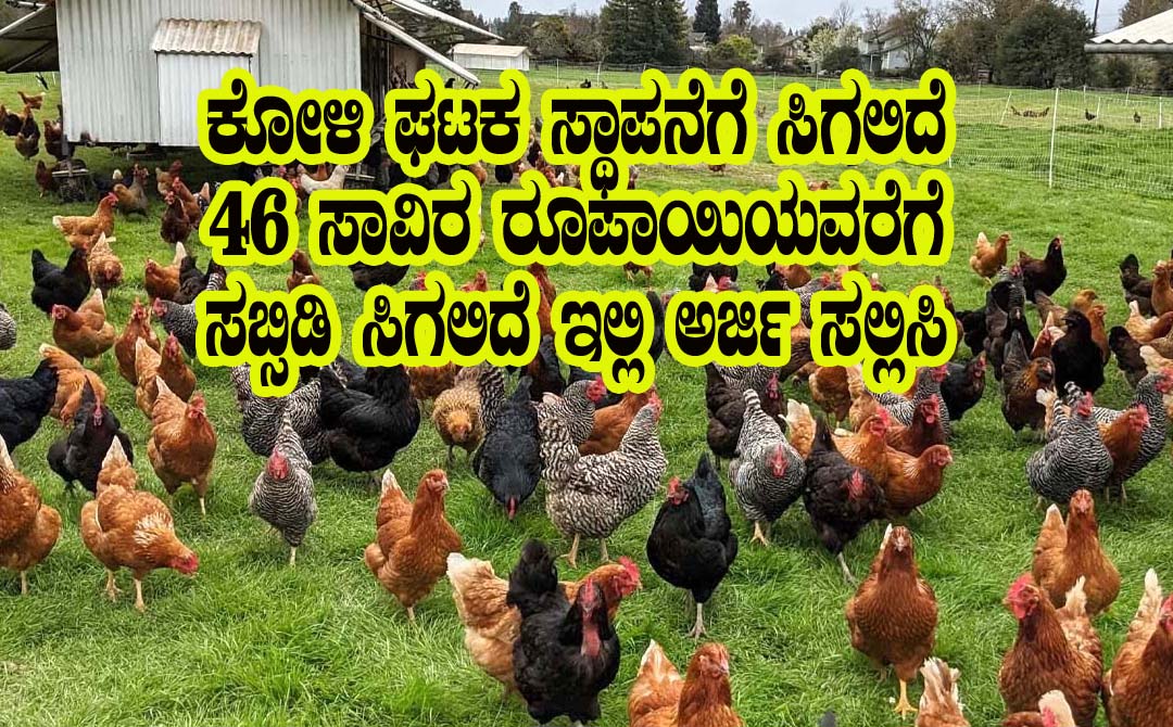 Poultry unit subsidy