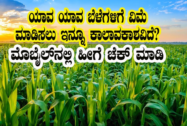 Crop insurance last date