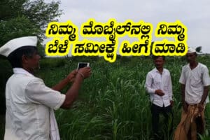 How to do crop survey