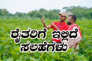 How to use fertilizer