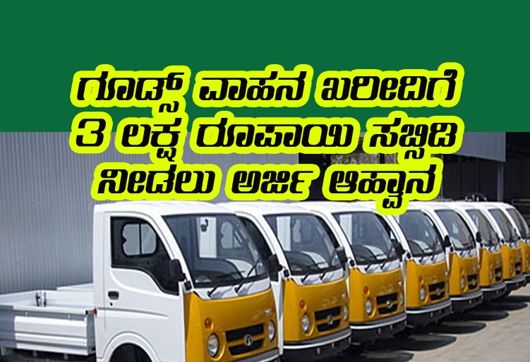 Goods vehicle purchase subsidies