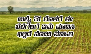 crop insurance last date july 31st