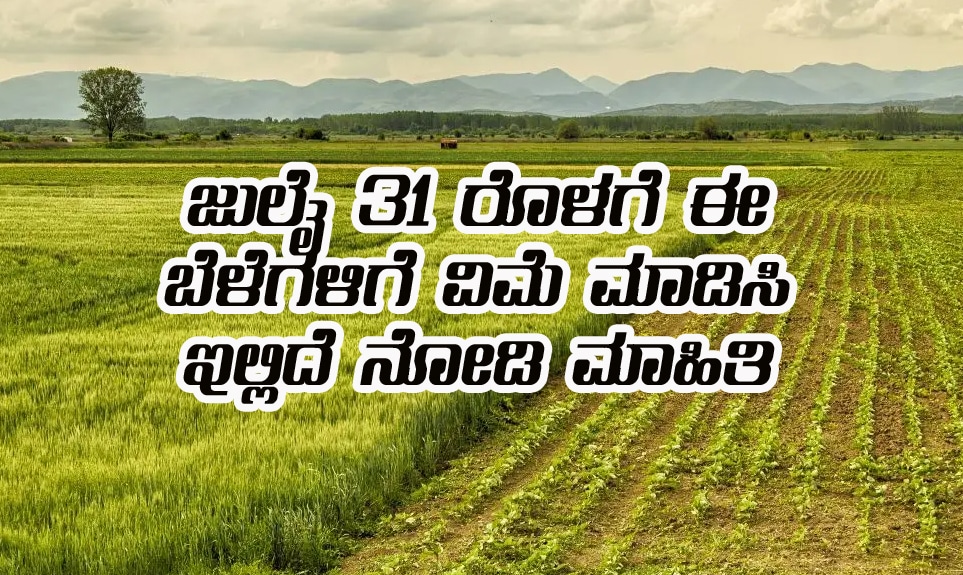 crop insurance last date july 31st