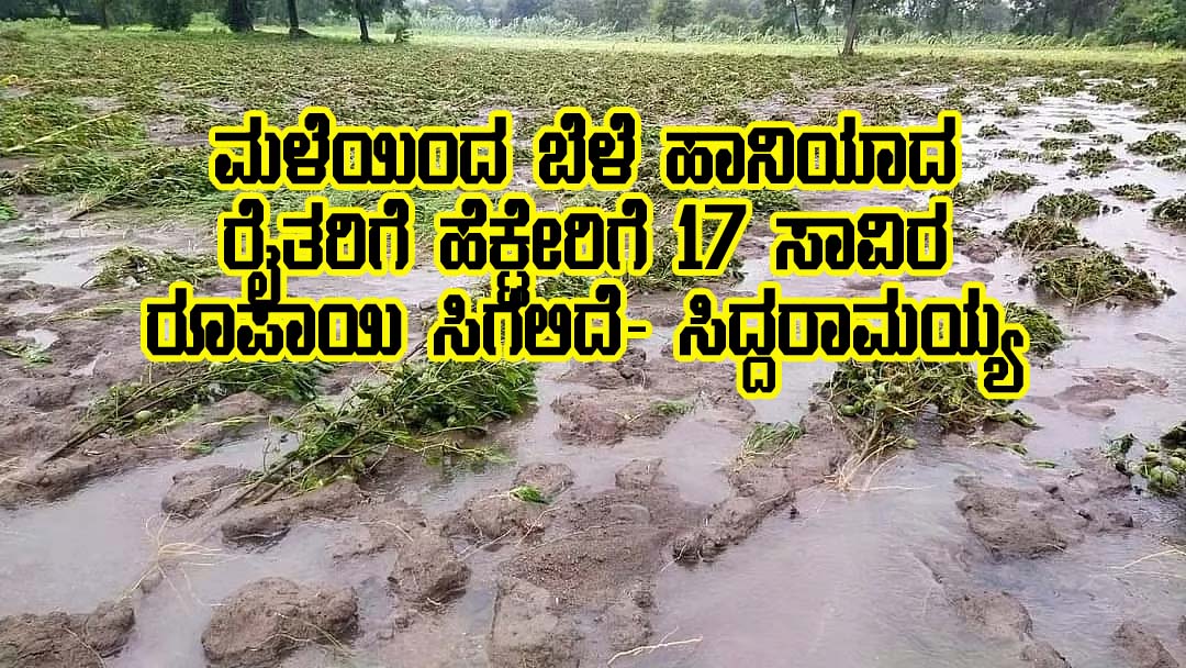 Crop loss money credit