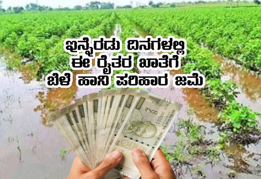 Bele hani parihara status check