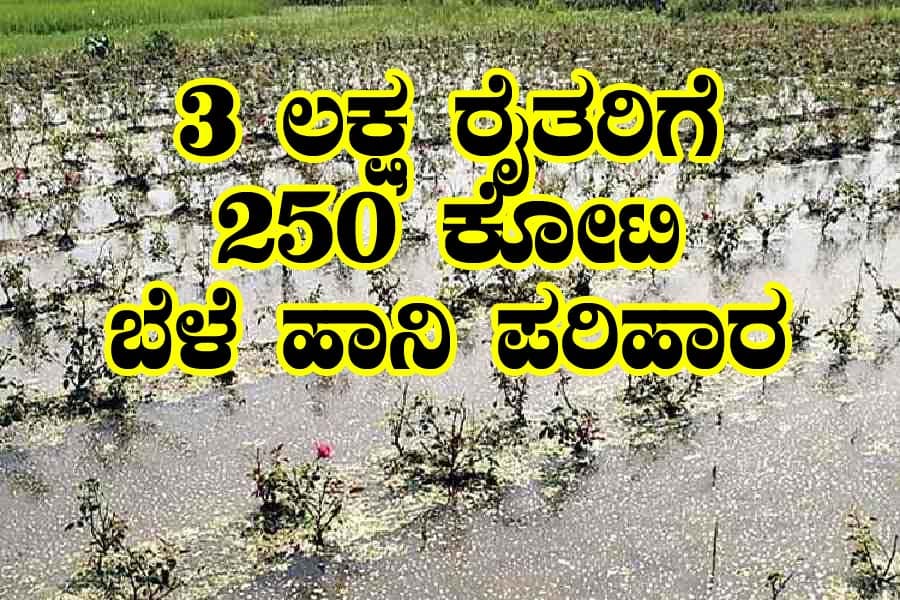 Bele hani parihara jama