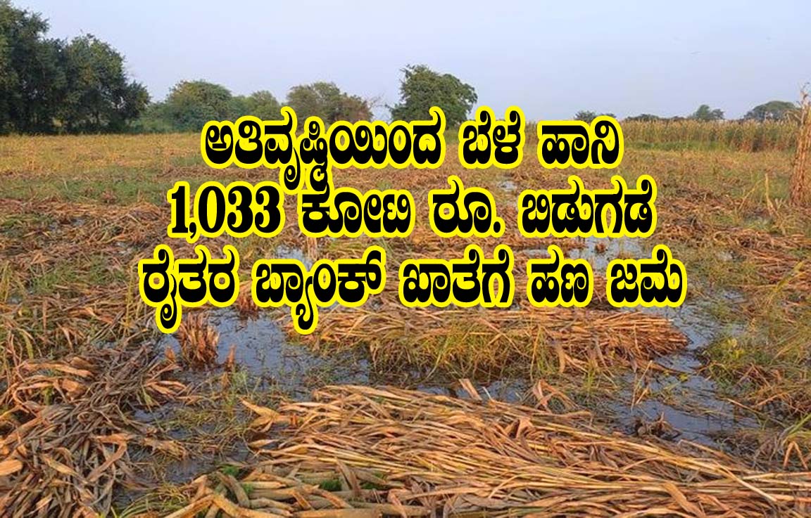 Bele hani pariahra status check