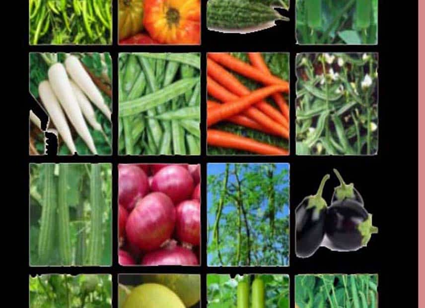 Vegetable seeds kit distribution: