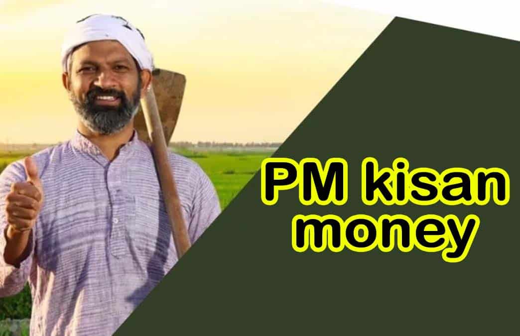 Pm kisan credit check