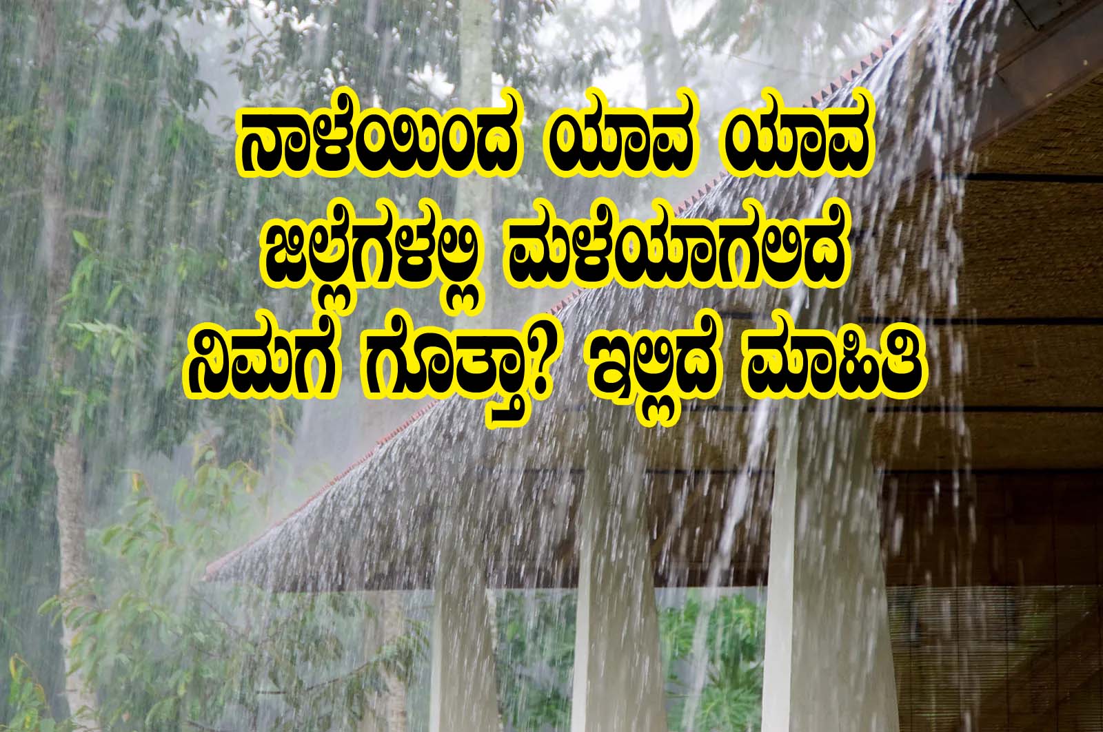 rain alert from tomorrow onwards