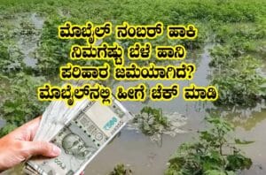 Belehani amount status check