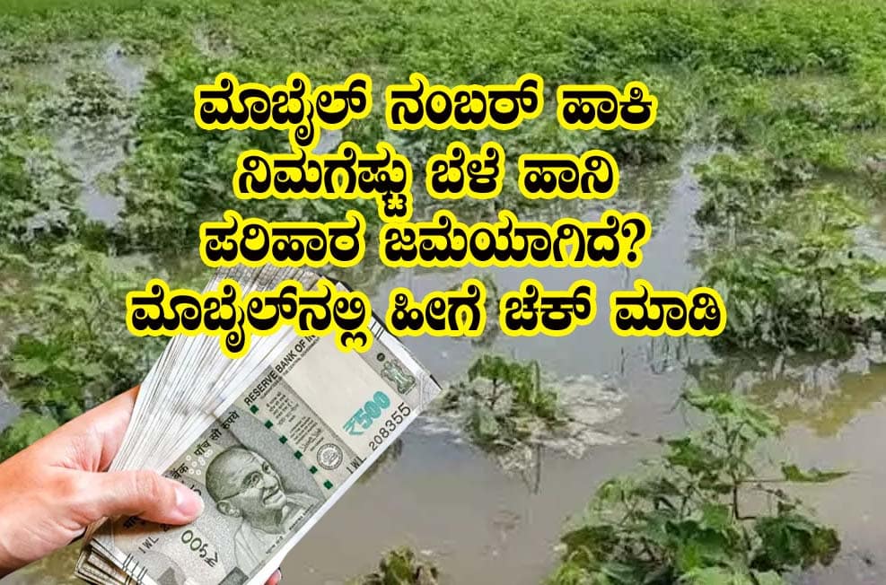 Belehani amount status check