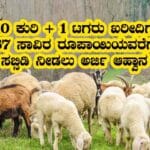 Goat sheep unit subsidy