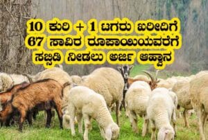 Goat sheep unit subsidy