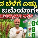 Crop insurance apply now