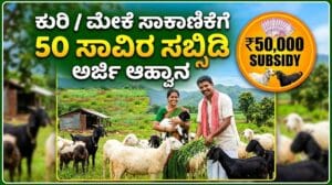 Goat sheep unit purchase subsidy